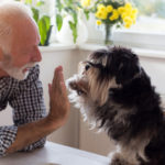 Aspire Blog - Stock photo representing the mental and physical health benefits of owning a pet